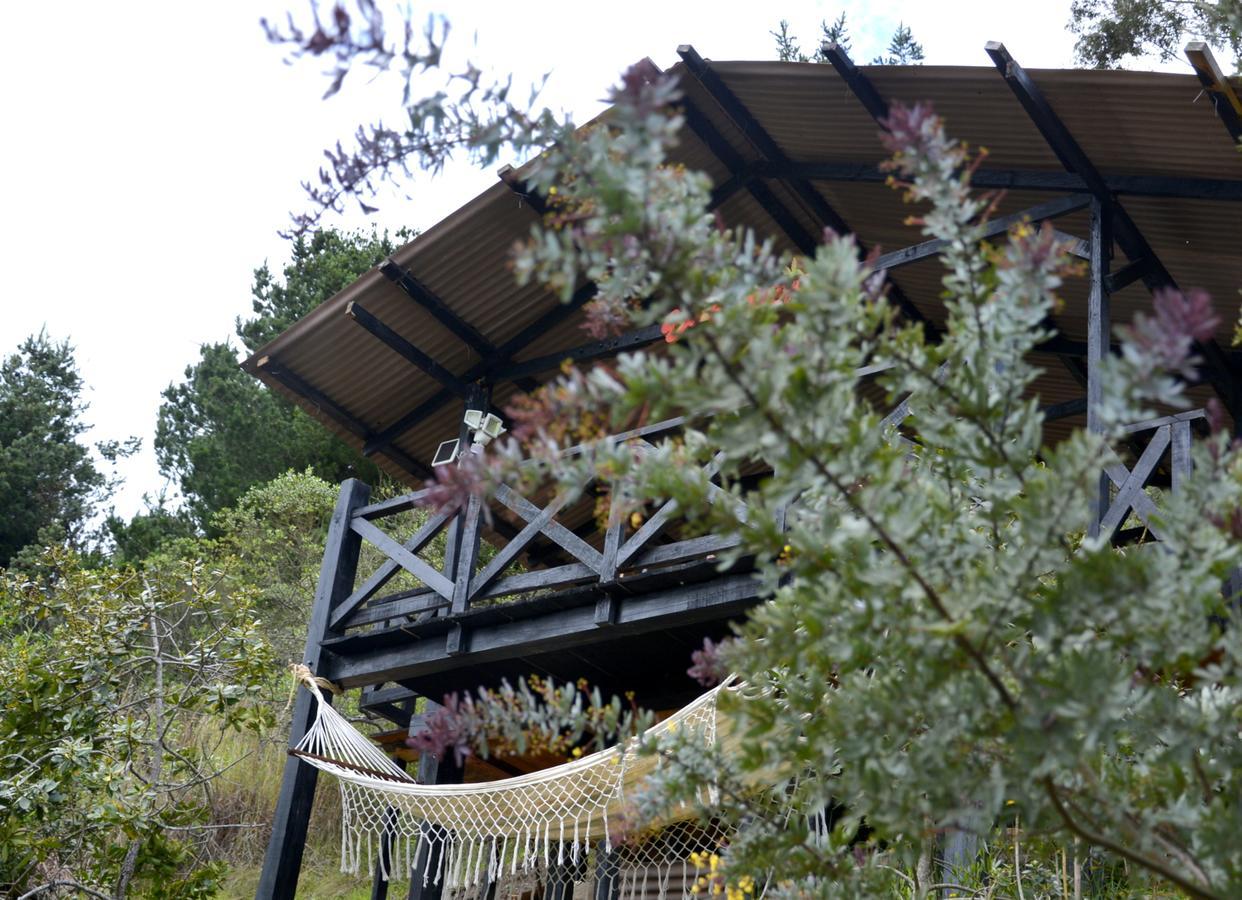 埃尔佩德雷加尔住宿加早餐旅馆 Sopó 外观 照片
